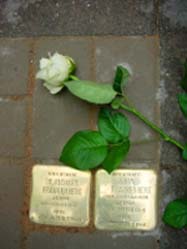Eine Rose als Zeichen der Trauer auf den Stolpersteinen für Dr. Richard Frankenberg und seine Frau Änne.