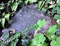 Der Grabstein für Emma Braunschild in Heidelberg  