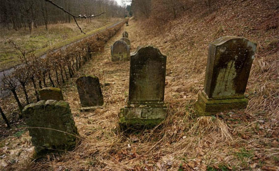 Auf dem lang gestreckten jüdischen Friedhof in Fürstenau.  