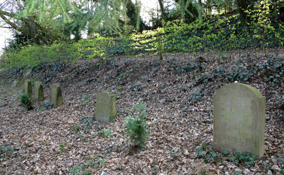 Der jüdische Friedhof in Stahle (Foto: Lisa Jödecke).  