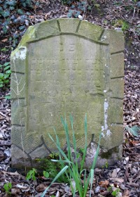 Grabstein auf dem jüdischen Friedhof in Stahle (Foto: Lisa Jödecke)  