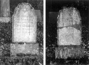 Die Grabsteine für Levy Uhlmann und seine zweite Frau Fanny auf dem Friedhof in Ovenhausen © LWL  