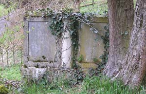 Der Doppelgrabstein für Alex und Emma Bachmann auf dem jüdischen Friedhof in Fürstenau  