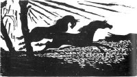 Black Horses. 1964. 251 x 450 mm