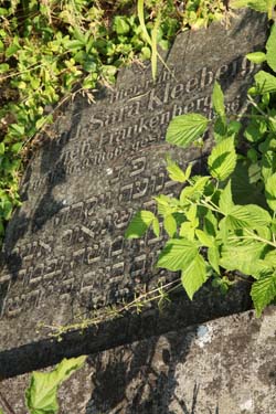 Der umgestürzte Grabstein von Sara Kleeberg in Amelunxen  